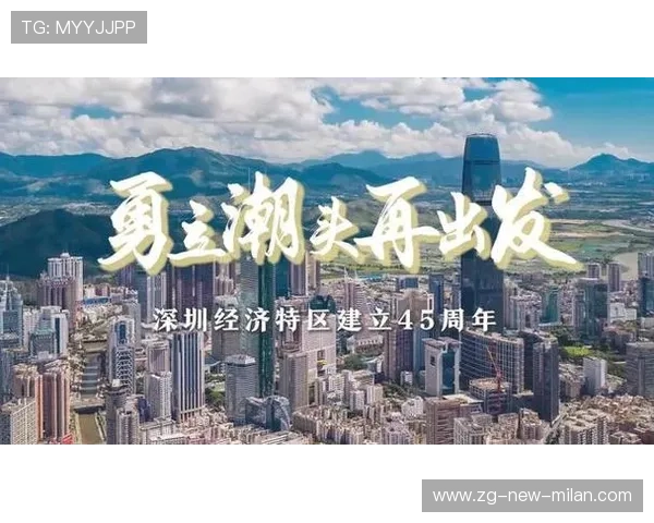 深圳新鹏城推动节奏十分稳健，组织极具层次